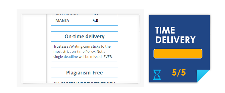 TrustEssayWriting Time Delivery